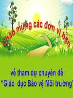 TH: Những chú cá đáng yêu