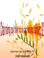 HOI GIANG TUAN 13 (HAY)