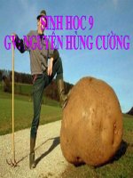 Bai 24. Dot bien so luong NST (tiep)