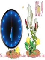 Tiết 23 bài 21 Vùng Đồng Bằng Sông Hồng (Tiếp theo)