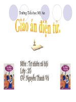 Tu nhien xa hoi - lop 2