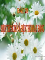 Bài 28 - ĐIỆN THẾ NGHỈ VÀ ĐIỆN THẾ HOẠT ĐỘNG (PRO)