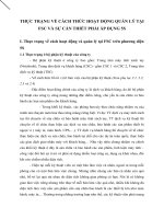 THỰC TRẠNG VỀ CÁCH THỨC HOẠT ĐỘNG QUẢN LÝ TẠI FSC VÀ SỰ CẦN THIẾT PHẢI ÁP DỤNG 5S