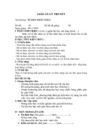 Giáo án sinh 10 - tế bào nhân thực