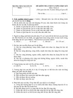 Đề KTHKI ( Lý6)