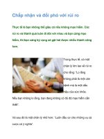 Chấp nhận và đối phó với rủi ro