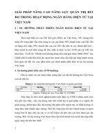 GIẢI PHÁP NÂNG CAO NĂNG LỰC QUẢN TRỊ RỦI RO TRONG HOẠT ĐỘNG NGÂN HÀNG ĐIỆN TỬ TẠI VIỆT NAM