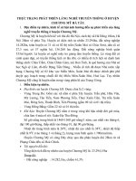 THỰC TRẠNG PHÁT TRIỂN LÀNG NGHỀ TRUYỀN THỐNG Ở HUYỆN CHƯƠNG MỸ HÀ TÂY