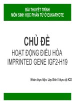 HOẠT ĐỘNG ĐIỀU HÒA IMPRINTED GENE IGF2-H19