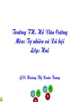 Tự nhiên xã hội gia đình