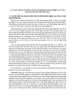 LÝ LUẬN CHUNG VỀ PHÂN TÍCH TÀICHÍNH DOANH NGHIỆP VAY VỐN TẠI NGÂN HÀNG THƯƠNG MẠI