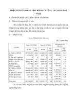 PHÂN TÍCH TÌNH HÌNH TÀI CHÍNH CỦA CÔNG TY CAO SU SAO VÀNG