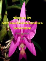 Vùng đồng bằng sông Hồng