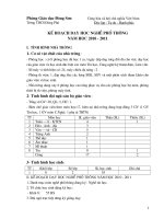 KẾ HOẠCH DẠY NPT 10-11