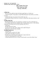 DE CUONG ON TAP VAN 9 - TQT