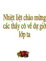 VIET DS9 T25 $4 DUONG THANG SONG SONG , DUONG THANG CAT NHAU