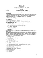 giao an 5 tuan 13 da sua( cktkn)