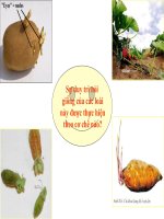 bài 18. chu kỳ tế bào và quá trình nguyên phân