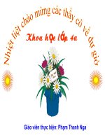 Bai giang khoa học