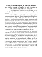 NHỮNG GIẢI PHÁP MARKETING ĐỂ DUY TRÌ VÀ MỞ RỘNG THỊ TRƯỜNG CHO SẢN PHẨM ĐỘNG CƠ ĐIỆN CỦA CÔNG TY CHẾ TẠO MÁY ĐIỆN VIỆT NAM