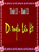 Bài 13: Di truyền liên kết