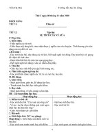 giao an tuan 12 2buoi/ngay