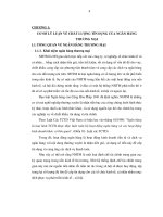 CƠ SỞ LÝ LUẬN VỀ CHẤT LƯỢNG TÍN DỤNG CỦA NGÂN HÀNG THƯƠNG MẠI