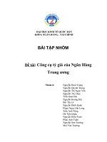 Công cụ tỷ giá của Ngân Hàng Trung ương
