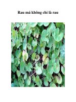 Rau má không chỉ là rau