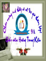 Tin học và xã hội