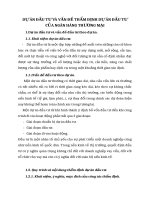 DỰ ÁN ĐẦU TƯ VÀ VẤN ĐỀ THẨM ĐỊNH DỰ ÁN ĐẦU TƯ CỦA NGÂN HÀNG THƯƠNG MẠI