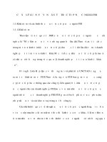 CƠ SỞ LÝ LUẬN VỀ VỐN ĐÂU TƯ TRỰC TIẾP NƯỚC NGOÀI FDI