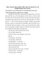 THỰC TRẠNG HOẠT ĐỘNG TIÊU THỤ SẢN PHẨM CỦA XÍ NGHIỆP KÍNH LONG GIANG