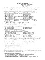 De on hay Hoa10 so 2