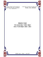 Báo cáo đầu năm học 2010-2011
