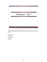 IP Behavior - Part 1