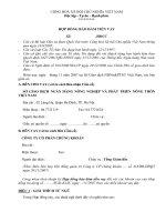 Mẫu hợp đồng tiền vay