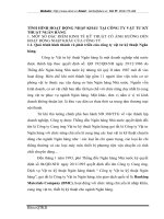 TÌNH HÌNH HOẠT ĐỘNG NHẬP KHẨU TẠI CÔNG TY VẬT TƯ KỸ THUẬT NGÂN HÀNG
