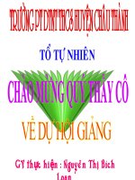 hoi giang hai tam giac  = cgc