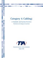 Cat 6 White Paper FINAL 8-15-02