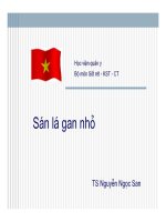 Ký sinh trùng - Sán lá gan nhỏ (Phần 1)
