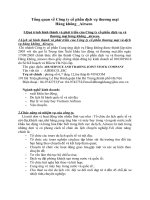 Tổng quan về Công ty cổ phần dịch vụ thương mại