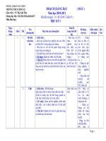 KẾ HOẠCH GIẢNG DẠY HÓA 8-MỚI