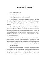 Nuôi dưỡng thỏ đẻ