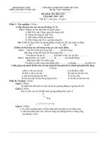 Đề thi HK I Vật lý 7