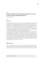 Analytical Methods for Monitoring Biodegradation Processes of Environmentally Degradable Polymers