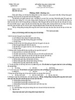 Khảo sát HSG lớp 5