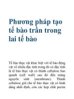 Phương pháp tạo tế bào trần trong lai tế bào