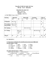 ĐỀ THI HỌC KÌ I 2010-2011