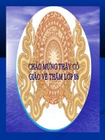 TRUNG QUỐC CUỐI THẾ KĨ XĨ ĐẦU THẾ KĨ XX